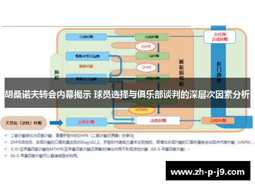 胡桑诺夫转会内幕揭示 球员选择与俱乐部谈判的深层次因素分析