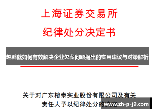 赵鹏就如何有效解决企业欠薪问题提出的实用建议与对策解析