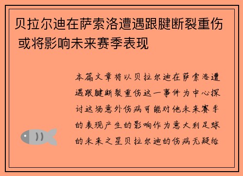 贝拉尔迪在萨索洛遭遇跟腱断裂重伤 或将影响未来赛季表现 贝拉尔迪在萨索洛遭遇跟腱断裂重伤 或将影响未来赛季表现